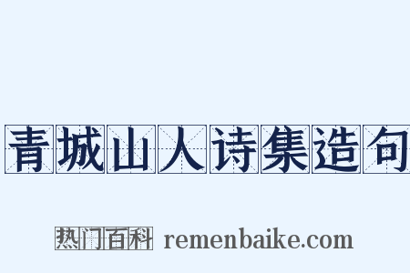 青城山人诗集造句是什么意思的图片